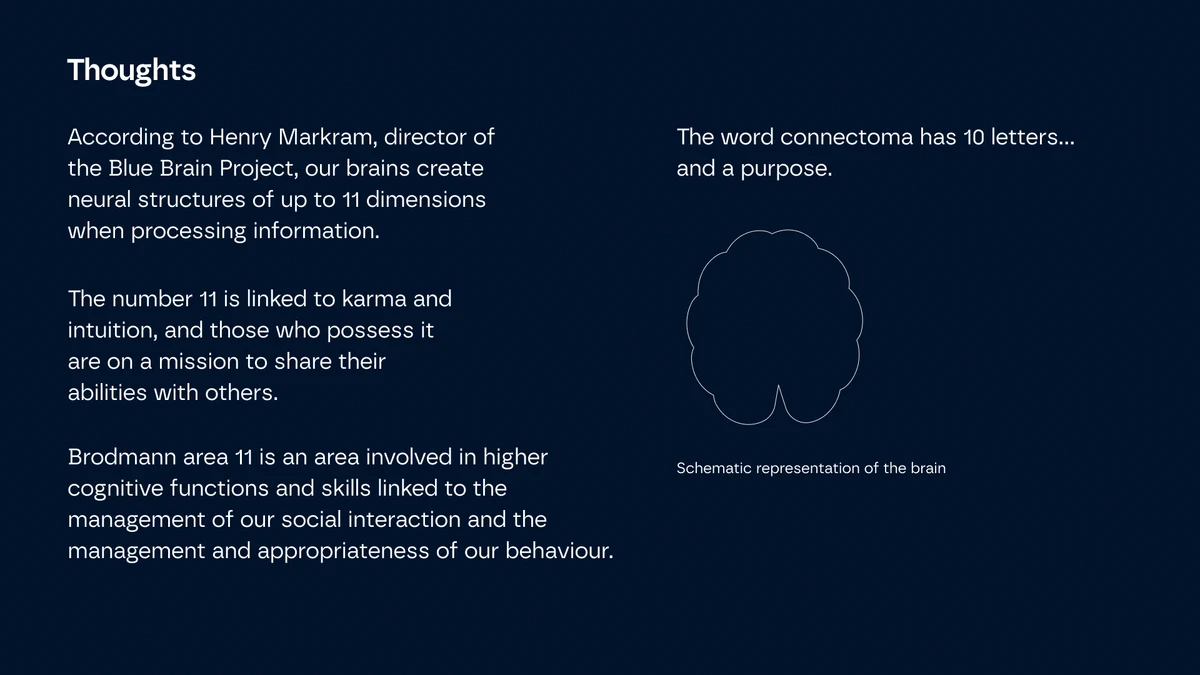 Connectoma - Branding and website for AI-based diagnostics startup