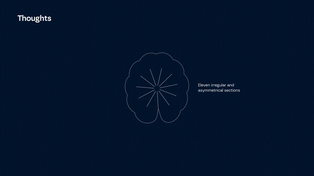 Connectoma - Branding and website for AI-based diagnostics startup