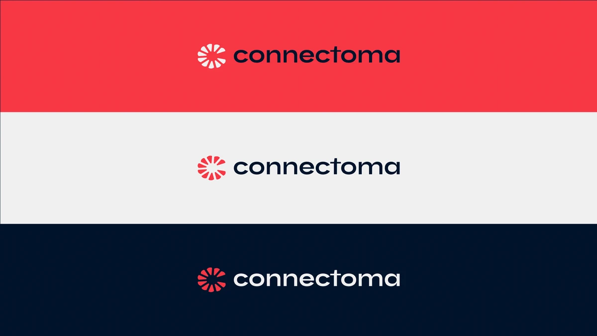 Connectoma - Branding and website for AI-based diagnostics startup